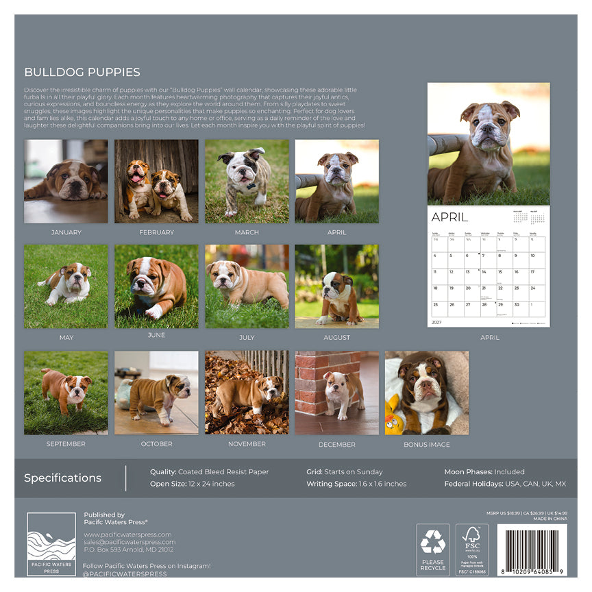 '27 Wall Calendar - Bulldog Puppies