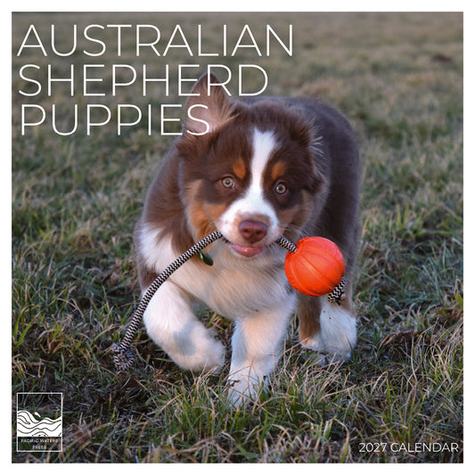 '27 Wall Calendar - Australian Shepherd Puppies