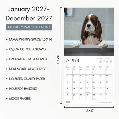 '27 Wall Calendar - Cavalier King Charles Spaniels