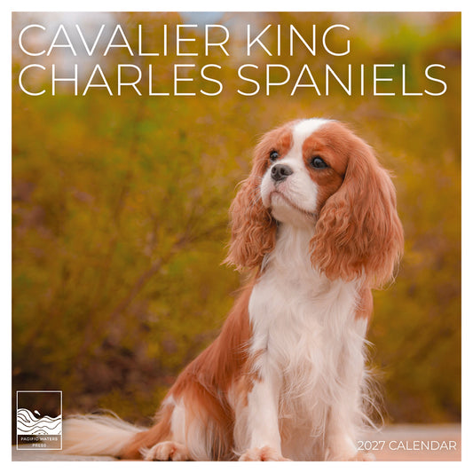 '27 Wall Calendar - Cavalier King Charles Spaniels