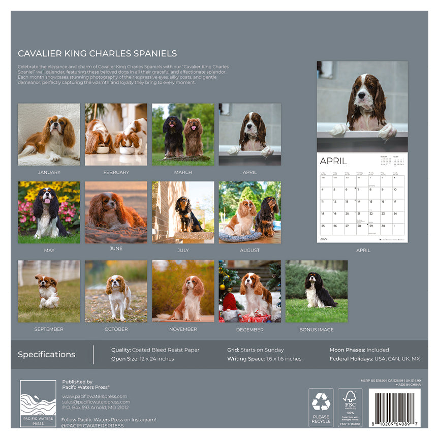 '27 Wall Calendar - Cavalier King Charles Spaniels
