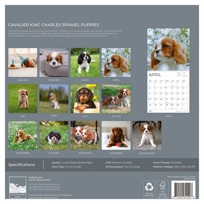 '27 Wall Calendar - Cavalier King Charles Spaniel Puppies