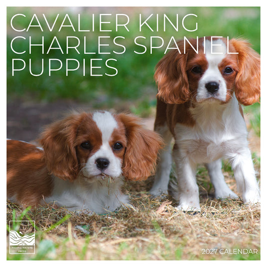 '27 Wall Calendar - Cavalier King Charles Spaniel Puppies