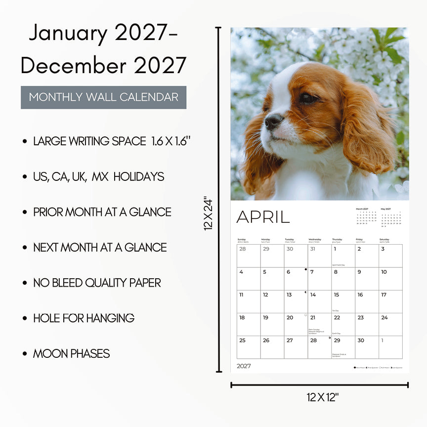 '27 Wall Calendar - Cavalier King Charles Spaniel Puppies