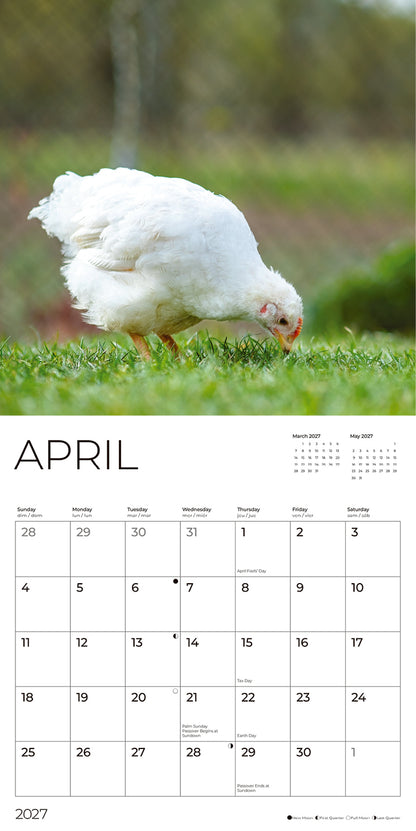 '27 Wall Calendar - Chickens