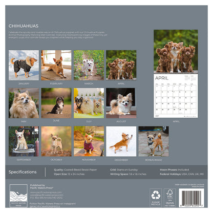 '27 Wall Calendar - Chihuahuas