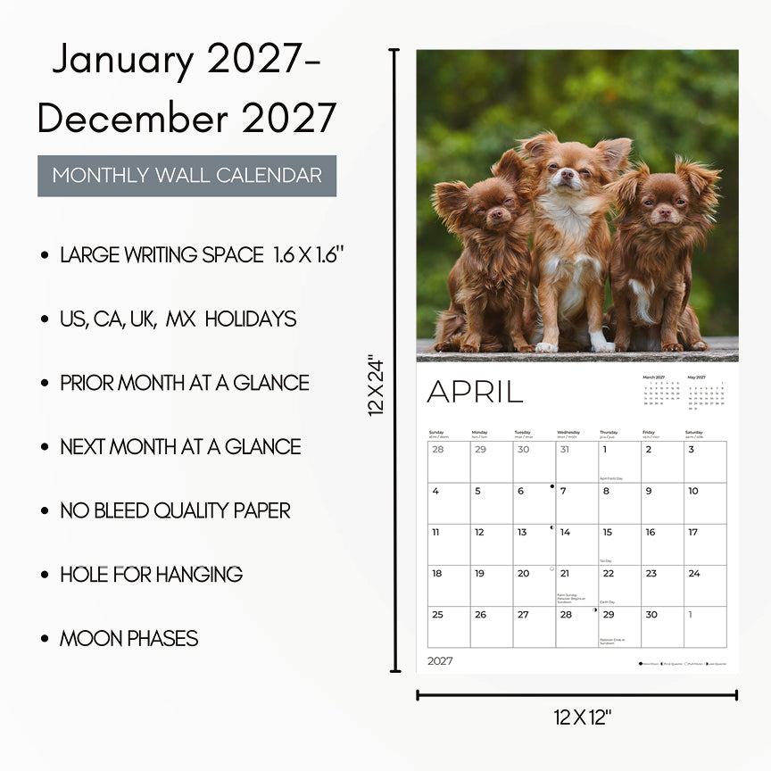 '27 Wall Calendar - Chihuahuas