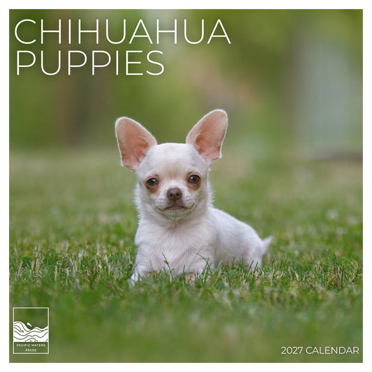 '27 Wall Calendar - Chihuahua Puppies