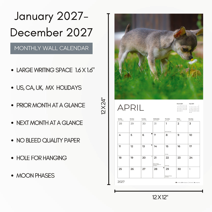 '27 Wall Calendar - Chihuahua Puppies