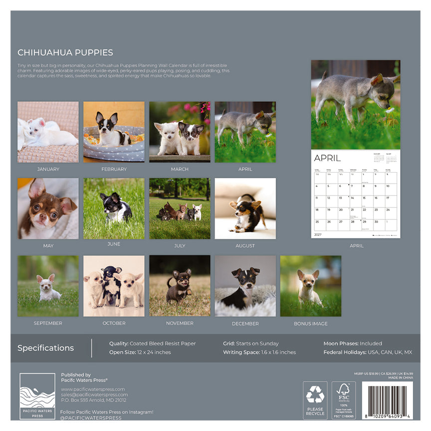 '27 Wall Calendar - Chihuahua Puppies