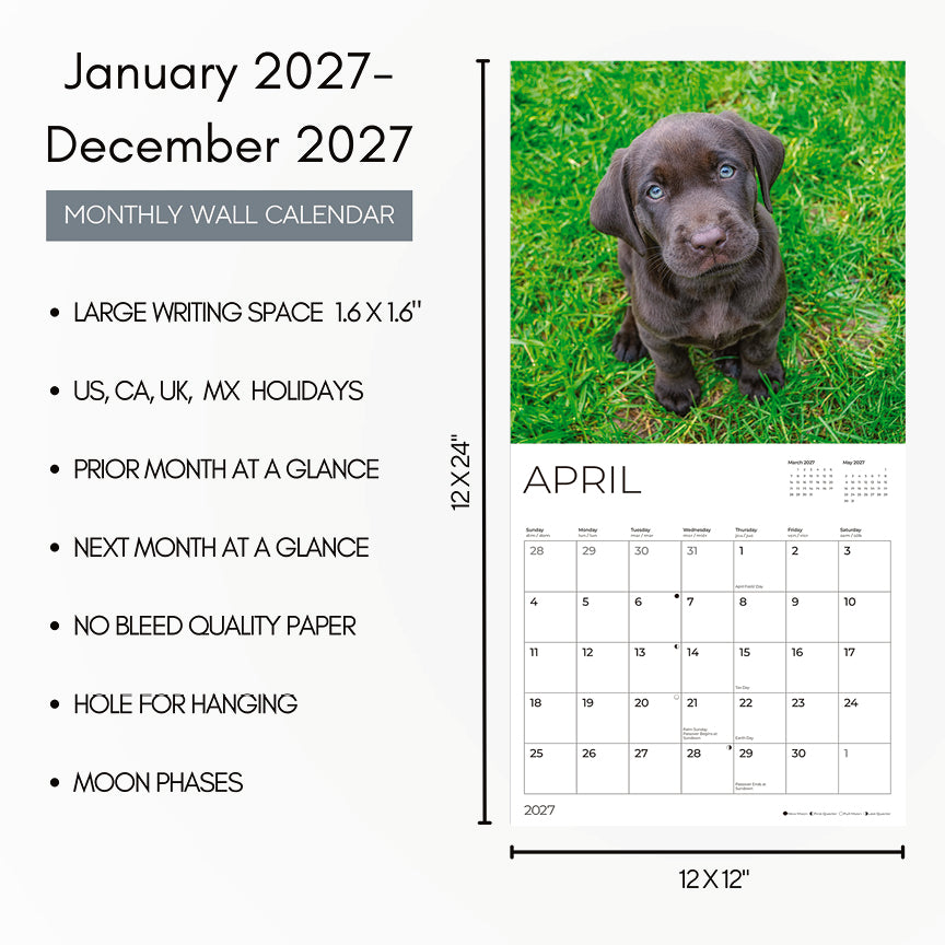 '27 Wall Calendar - Chocolate Lab Puppies