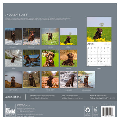 '27 Wall Calendar - Chocolate Labs