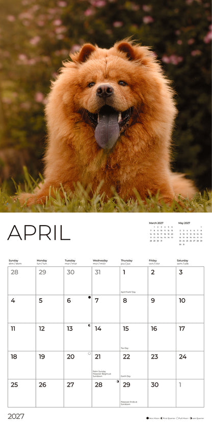 '27 Wall Calendar - Chow Chows