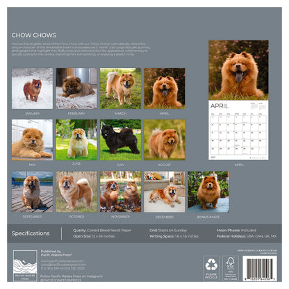 '27 Wall Calendar - Chow Chows