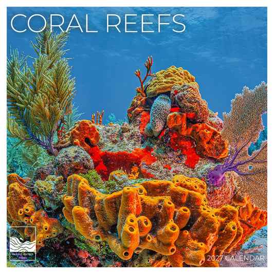'27 Wall Calendar - Coral Reefs