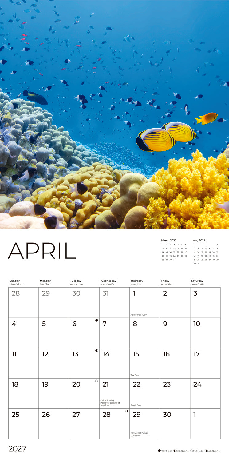 '27 Wall Calendar - Coral Reefs