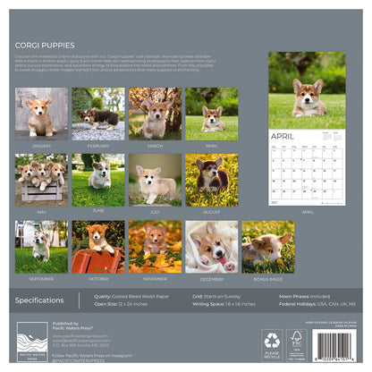 '27 Wall Calendar - Corgi Puppies