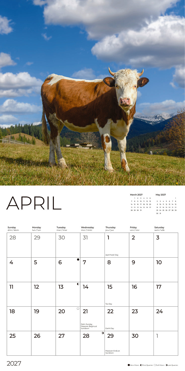 '27 Wall Calendar - Cows