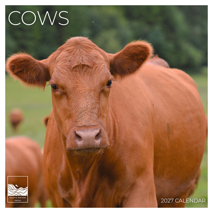 '27 Wall Calendar - Cows