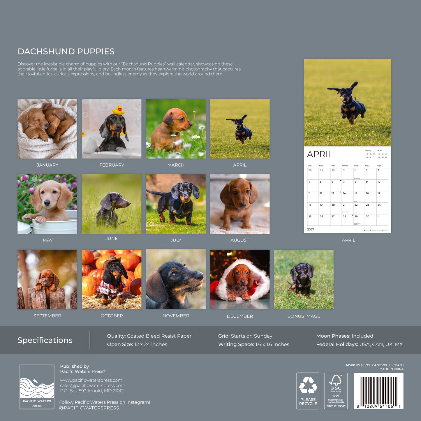 '27 Wall Calendar - Dachshund Puppies