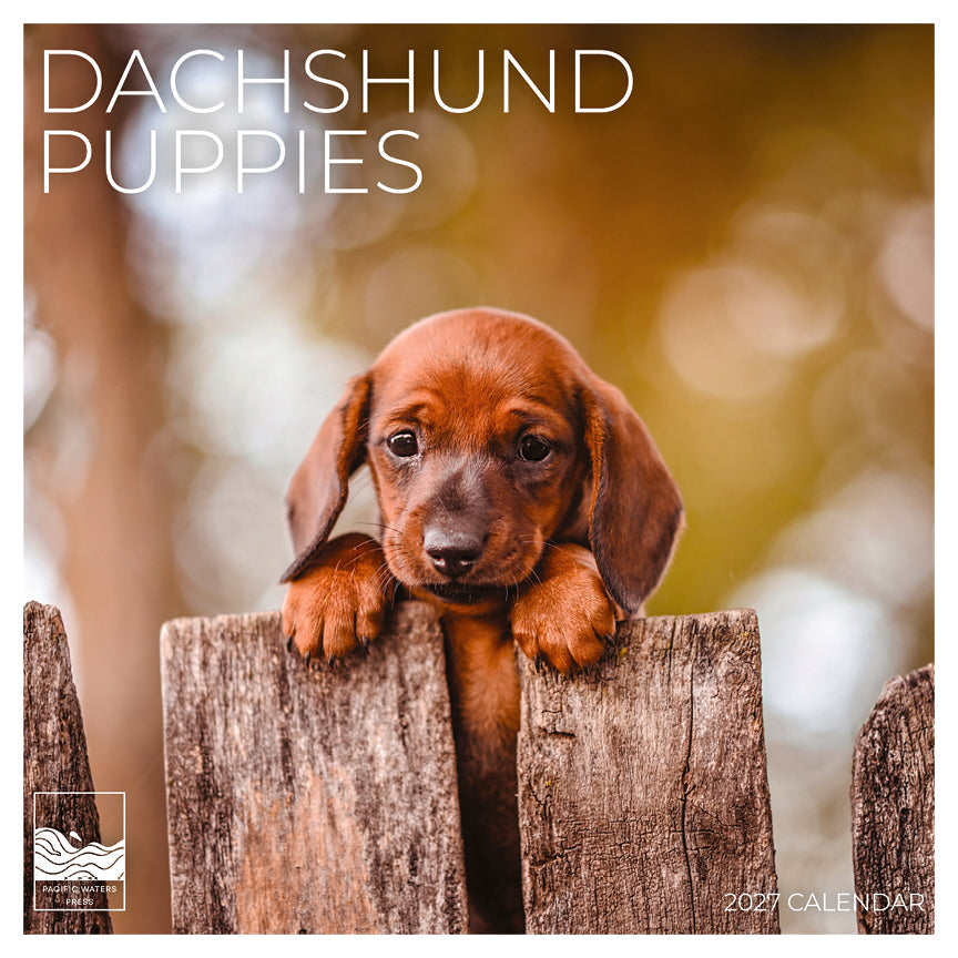 '27 Wall Calendar - Dachshund Puppies