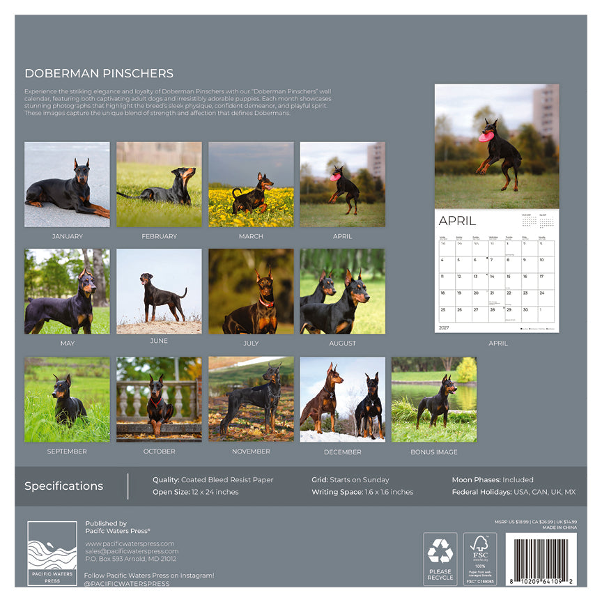 '27 Wall Calendar - Doberman Pinschers