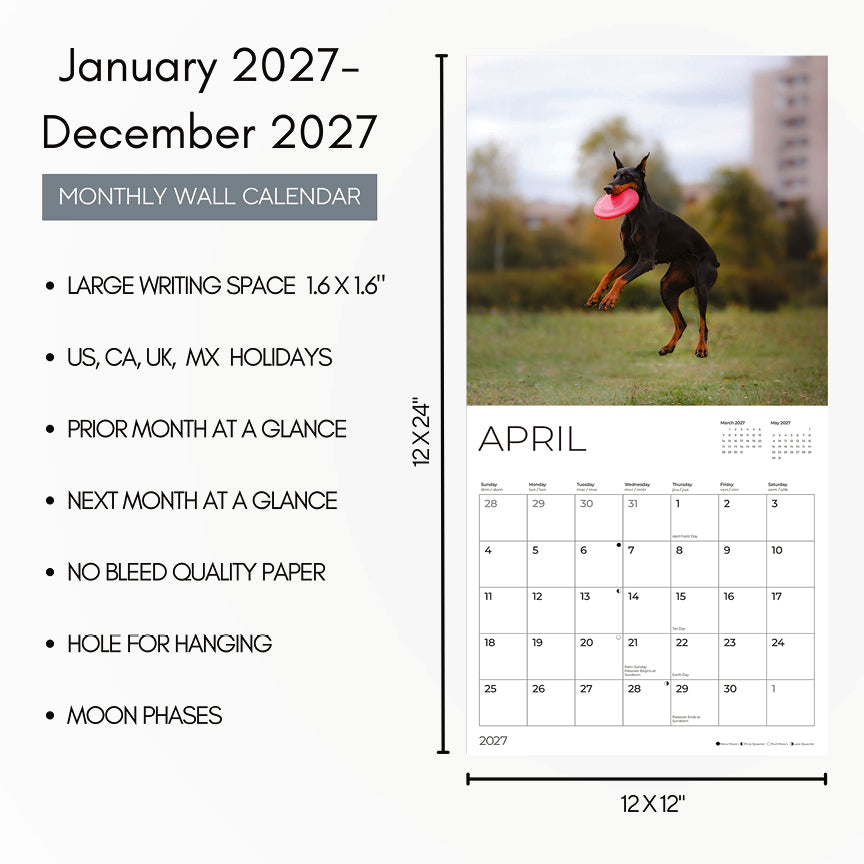 '27 Wall Calendar - Doberman Pinschers
