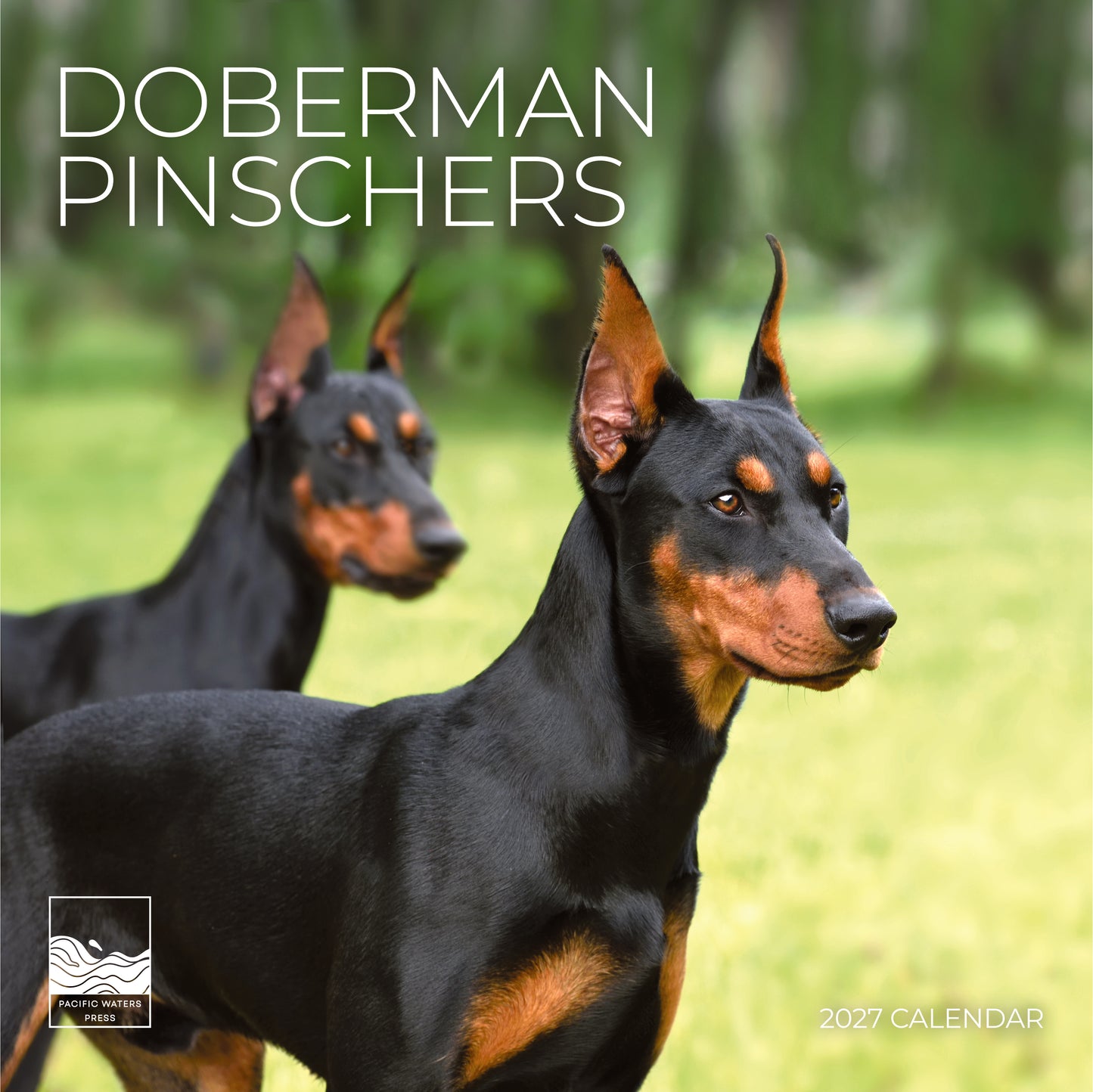'27 Wall Calendar - Doberman Pinschers