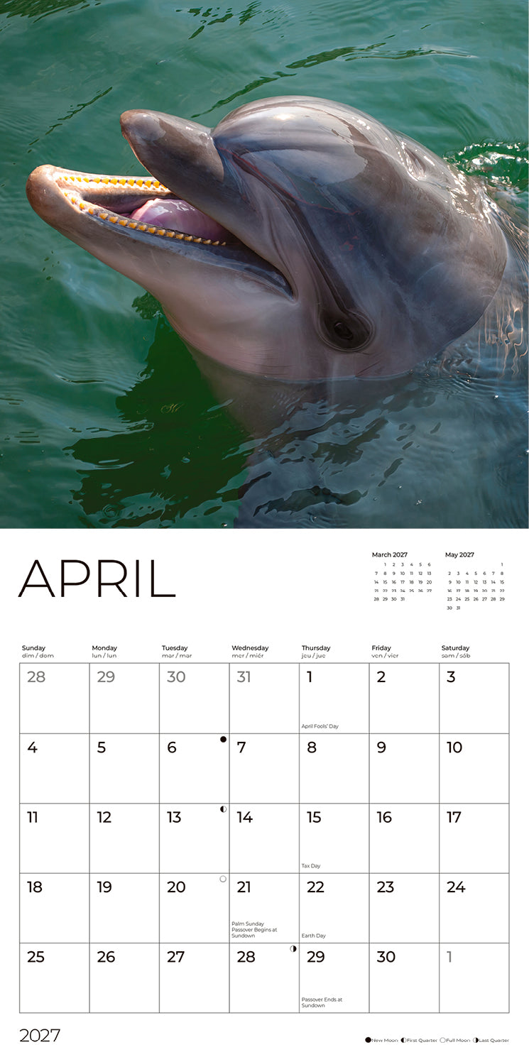 '27 Wall Calendar - Dolphins
