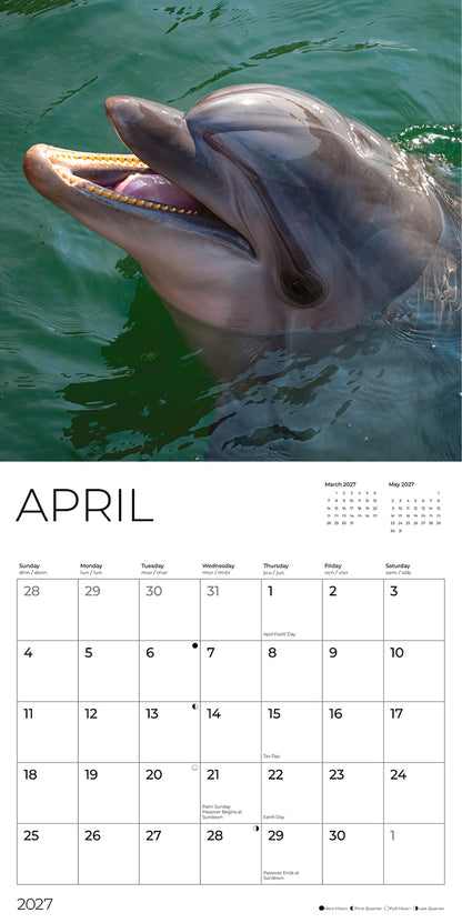 '27 Wall Calendar - Dolphins