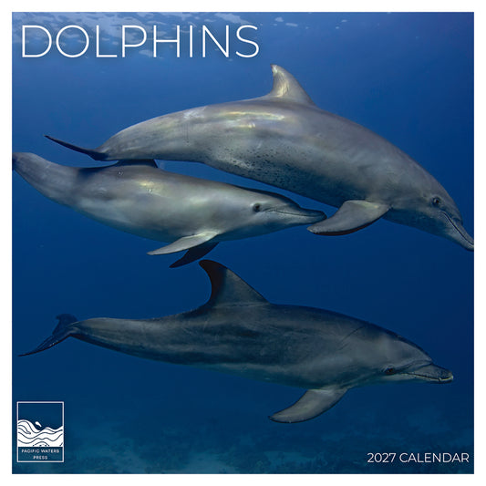 '27 Wall Calendar - Dolphins