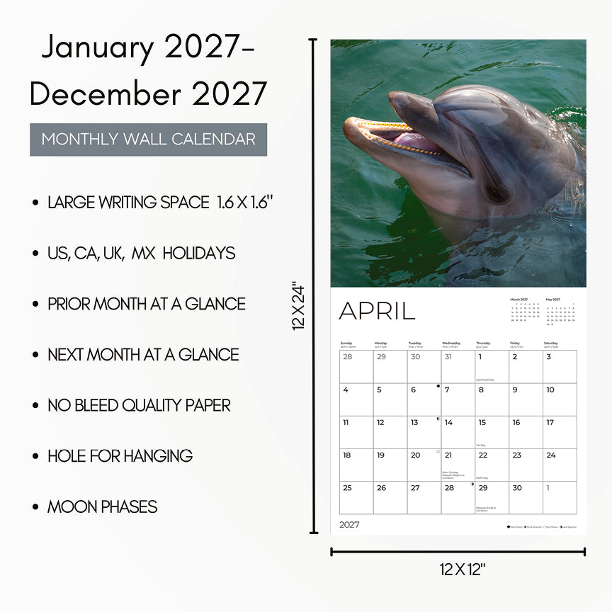 '27 Wall Calendar - Dolphins