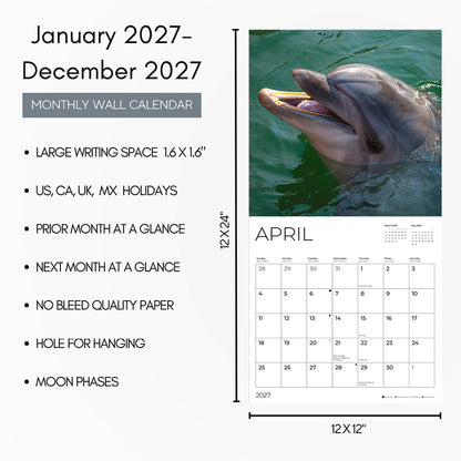 '27 Wall Calendar - Dolphins