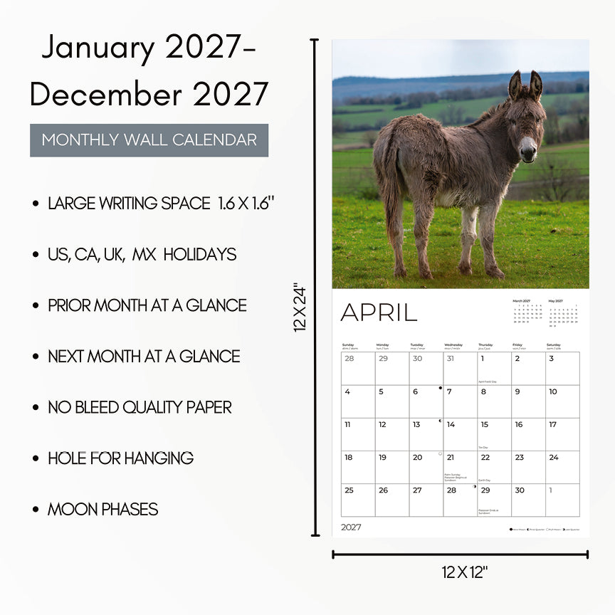 '27 Wall Calendar - Donkeys