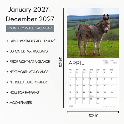 '27 Wall Calendar - Donkeys
