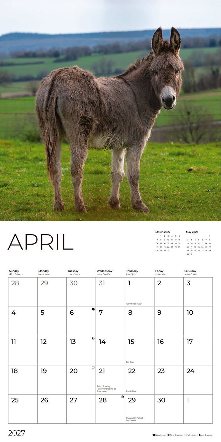 '27 Wall Calendar - Donkeys