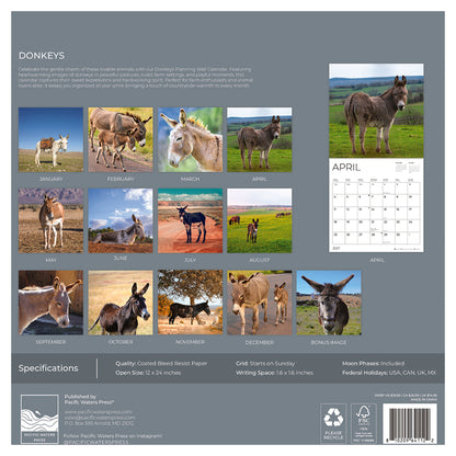 '27 Wall Calendar - Donkeys