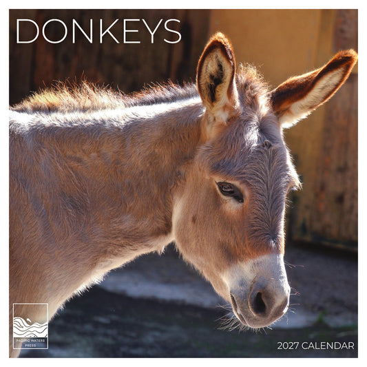 '27 Wall Calendar - Donkeys