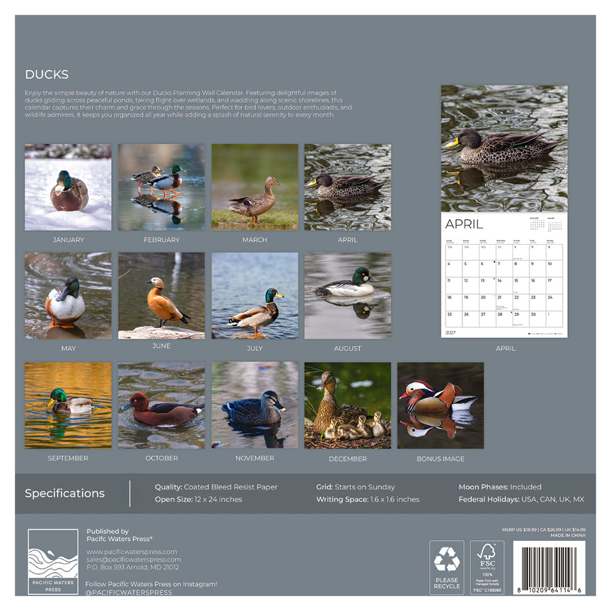 '27 Wall Calendar - Ducks