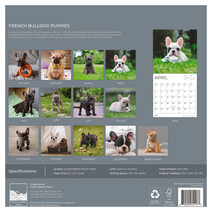 '27 Wall Calendar - French Bulldog Puppies