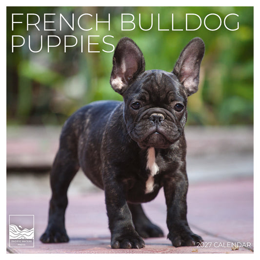 '27 Wall Calendar - French Bulldog Puppies