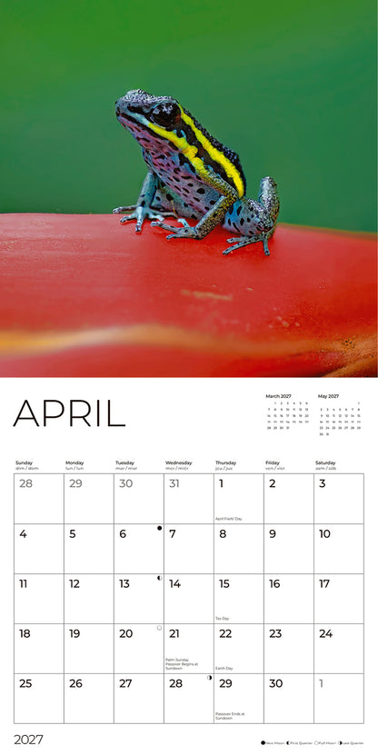 '27 Wall Calendar - Frogs