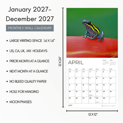 '27 Wall Calendar - Frogs