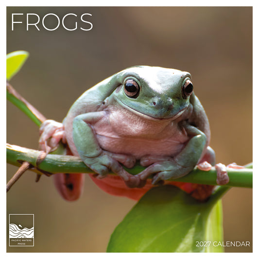 '27 Wall Calendar - Frogs