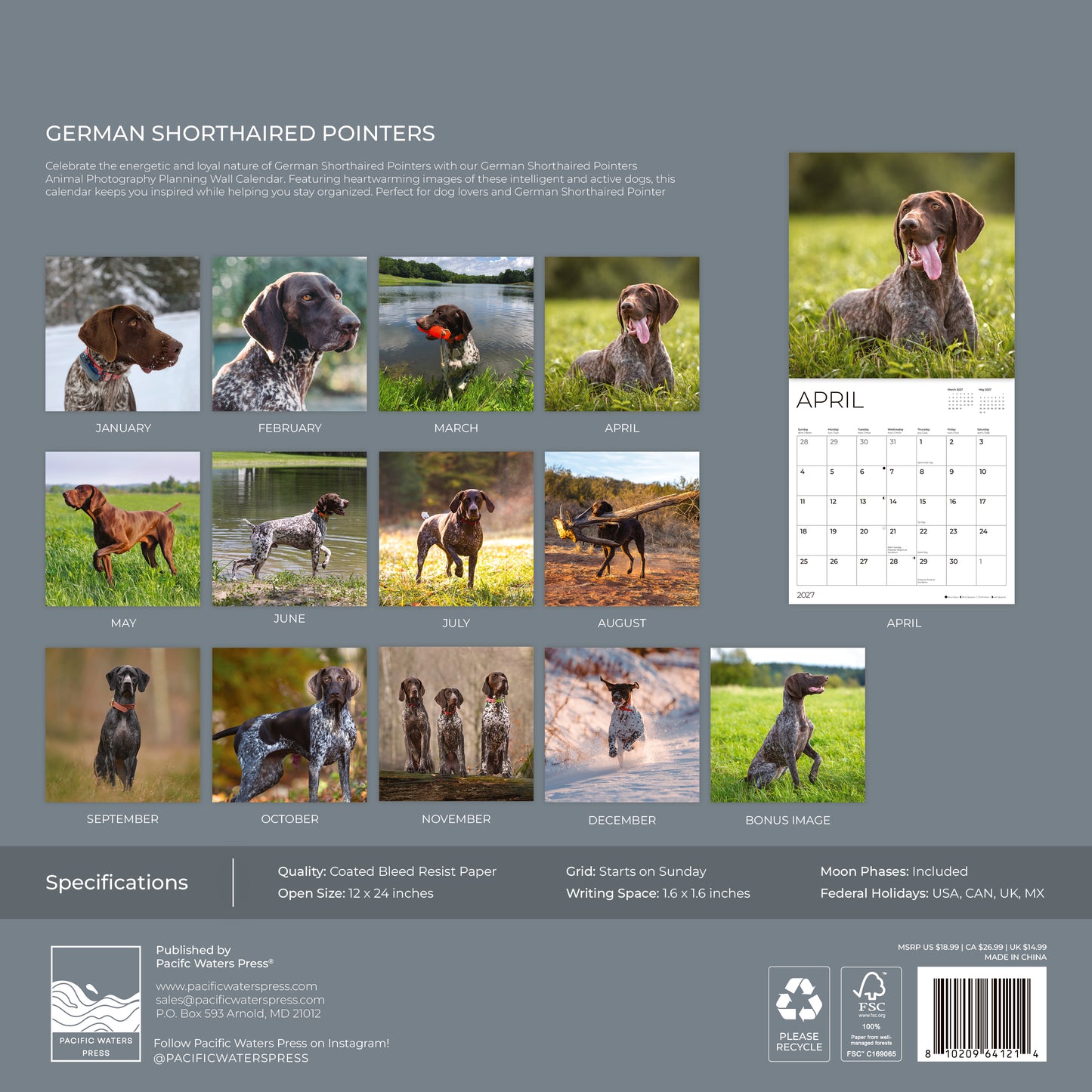 '27 Wall Calendar - German Shorthaired Pointers