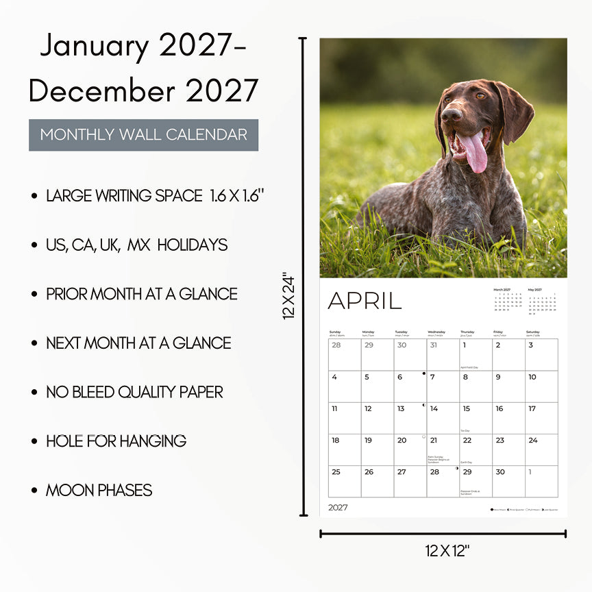 '27 Wall Calendar - German Shorthaired Pointers