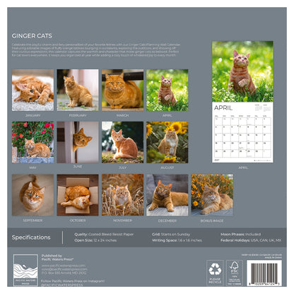 '27 Wall Calendar - Ginger Cats