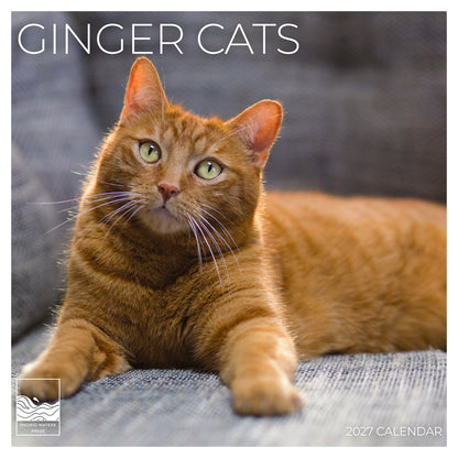 '27 Wall Calendar - Ginger Cats