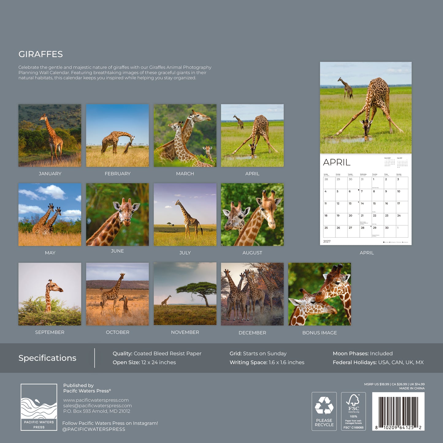 '27 Wall Calendar - Giraffes