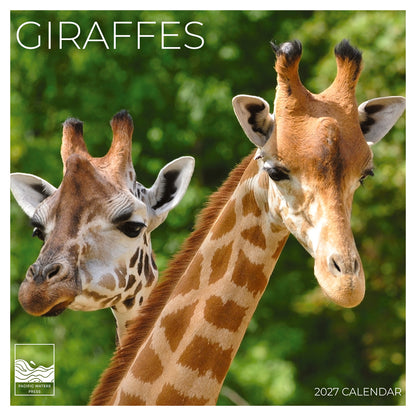 '27 Wall Calendar - Giraffes